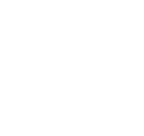 Marca Chile